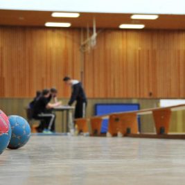 handball-in-der-halle